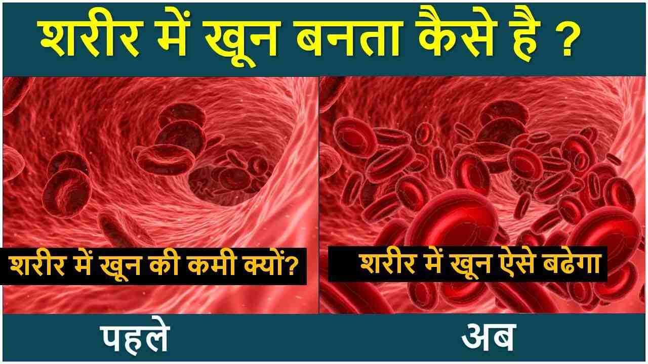 शरीर में खून कैसे बनता है ? शरीर में खून बढ़ाने के लिए क्या खाए ?